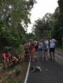 /album/fotogaleria-panama/panama-109-jpg/